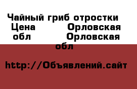 Чайный гриб отростки › Цена ­ 500 - Орловская обл.  »    . Орловская обл.